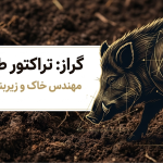 تحقیق فعالیت صفحه ۱۶۲ علوم نهم | فواید گراز و خرس در جنگل