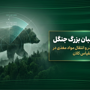 تحقیق فعالیت صفحه ۱۶۲ علوم نهم | فواید گراز و خرس در جنگل