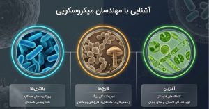 تحقیق فعالیت صفحه ۱۲۹ علوم نهم درباره باکتری ها