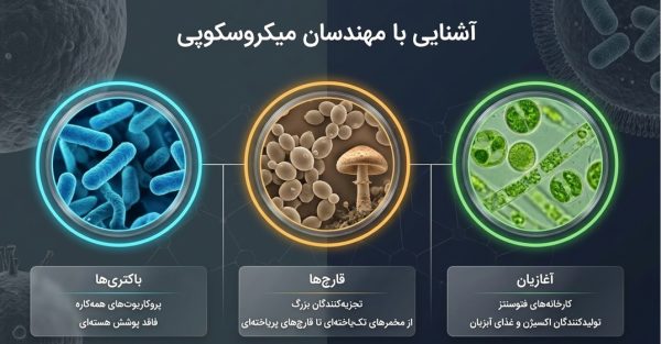 تحقیق فعالیت صفحه ۱۲۹ علوم نهم | کاربرد باکتریها، قارچها و آغازیان + پاورپوینت
